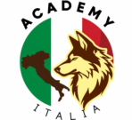 I-BL courses & paths 